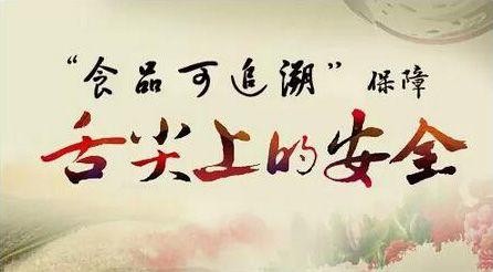 媒体对象